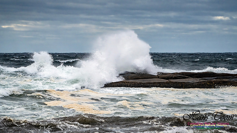 Peggy's Cove Area Blustery Day 136