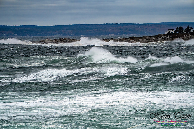 Peggy's Cove Area Blustery Day 138