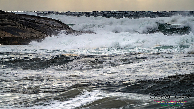 Peggy's Cove Area Blustery Day 139