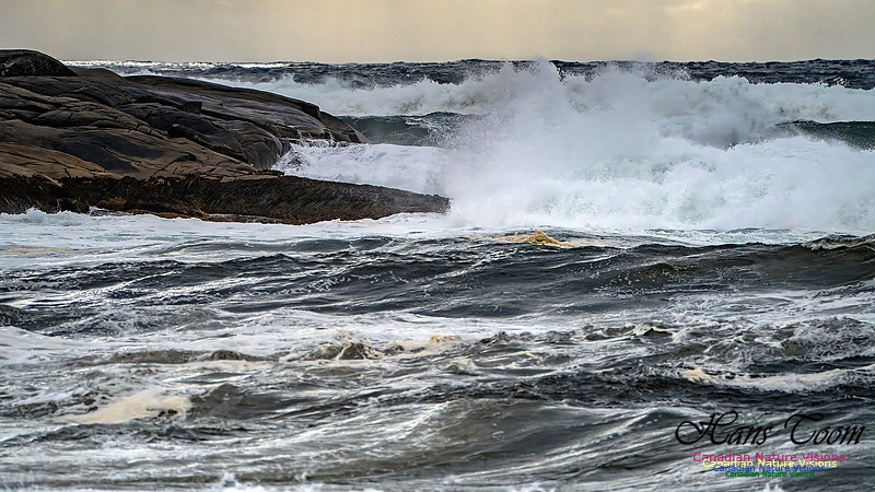 Peggy's Cove Area Blustery Day 140