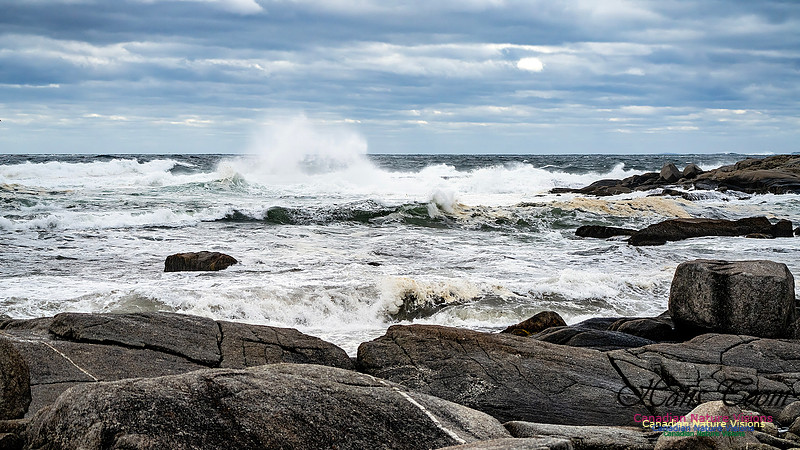 Peggy's Cove Area Blustery Day 142