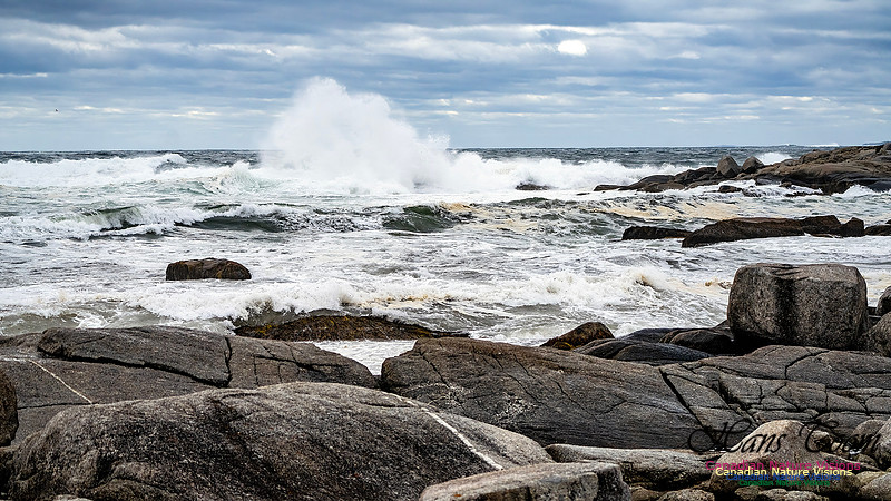 Peggy's Cove Area Blustery Day 143