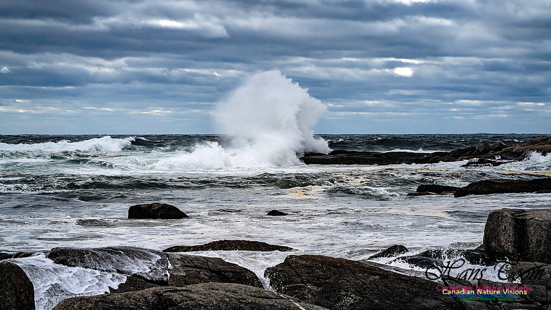 Peggy's Cove Area Blustery Day 144