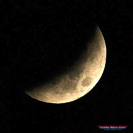 Lunar Eclipse 2022 106