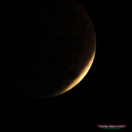Lunar Eclipse 2022 101