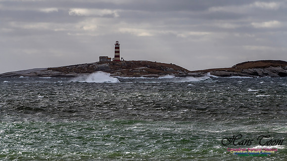 Nova Scotia Scenes 409