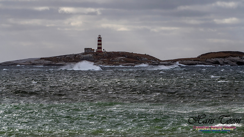 Nova Scotia Scenes 409