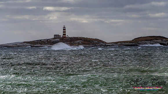 Nova Scotia Scenes 410