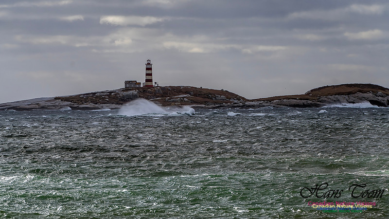 Nova Scotia Scenes 410