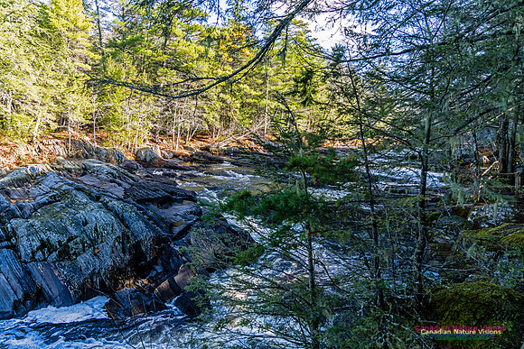 Nova Scotia Scenes 405