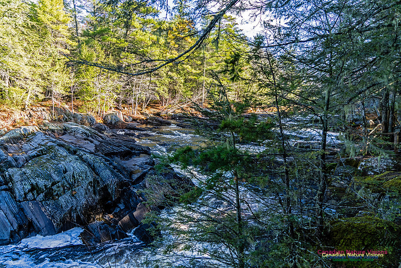 Nova Scotia Scenes 405