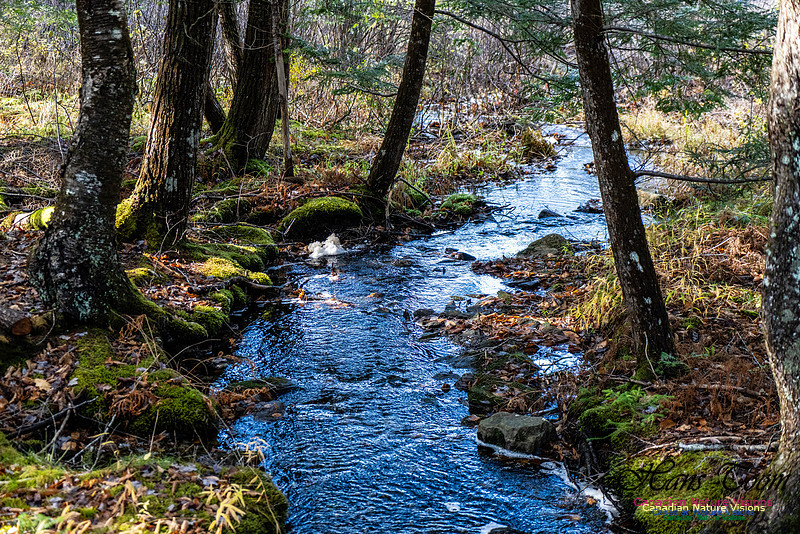 Nova Scotia Scenes 407