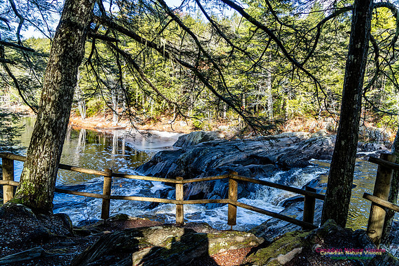 Nova Scotia Scenes 412