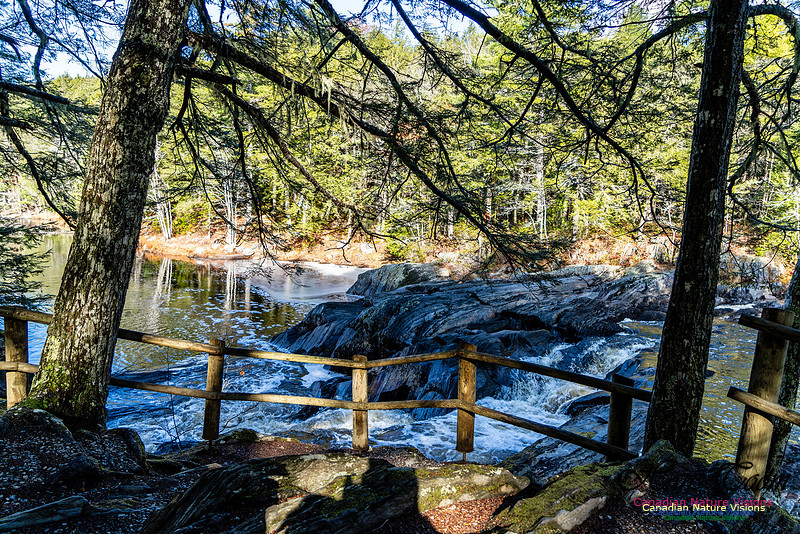 Nova Scotia Scenes 412