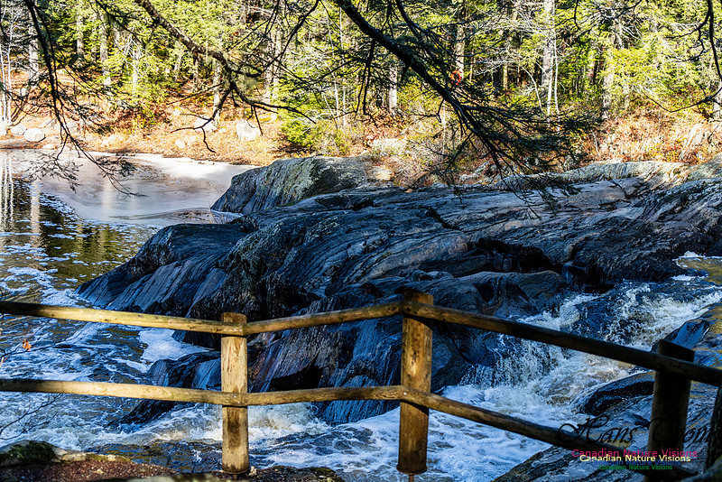 Nova Scotia Scenes 411