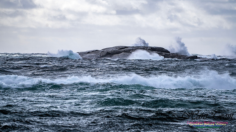 Nova Scotia Scenes 415
