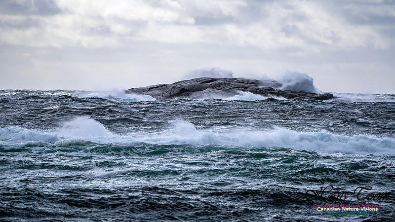 Nova Scotia Scenes 414