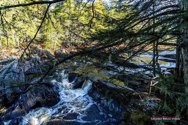 Nova Scotia Scenes 413