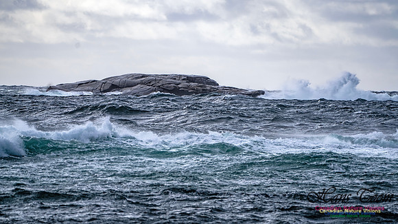 Nova Scotia Scenes 416