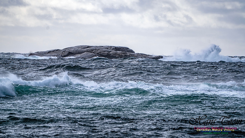 Nova Scotia Scenes 416