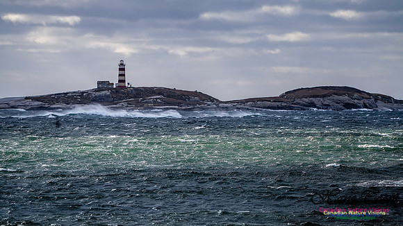 Nova Scotia Scenes 417