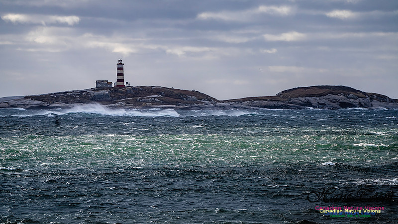 Nova Scotia Scenes 417