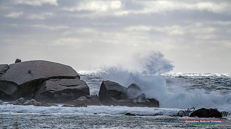 Nova Scotia Scenes 419