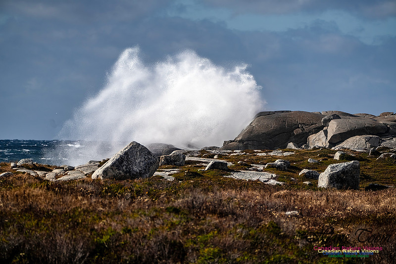 Nova Scotia Scenes 418