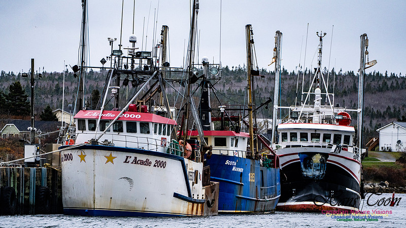 Nova Scotia Scenes 420