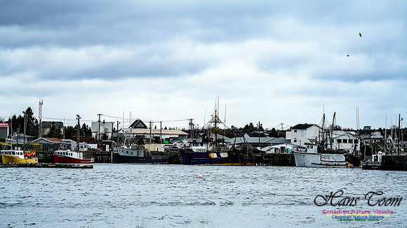 Nova Scotia Scenes 421