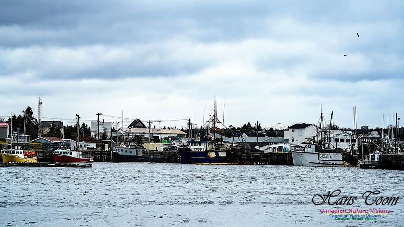 Nova Scotia Scenes 421