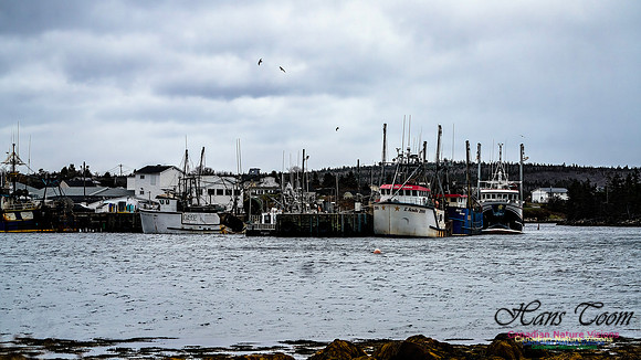 Nova Scotia Scenes 422
