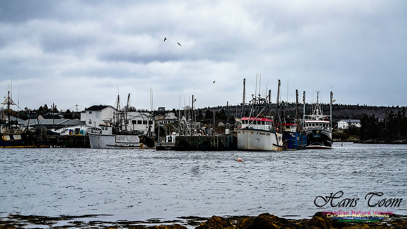 Nova Scotia Scenes 422