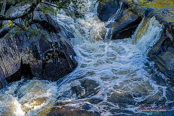 Nova Scotia Scenes 426