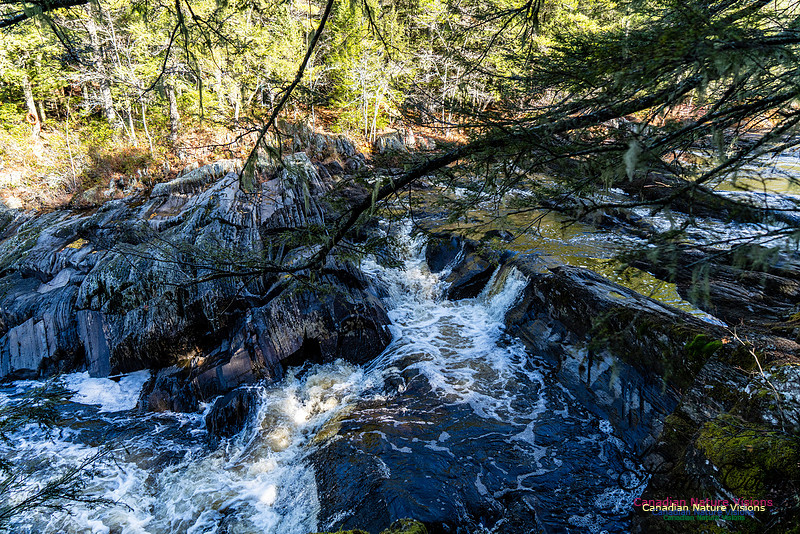 Nova Scotia Scenes 427