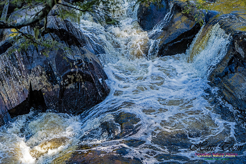 Nova Scotia Scenes 401