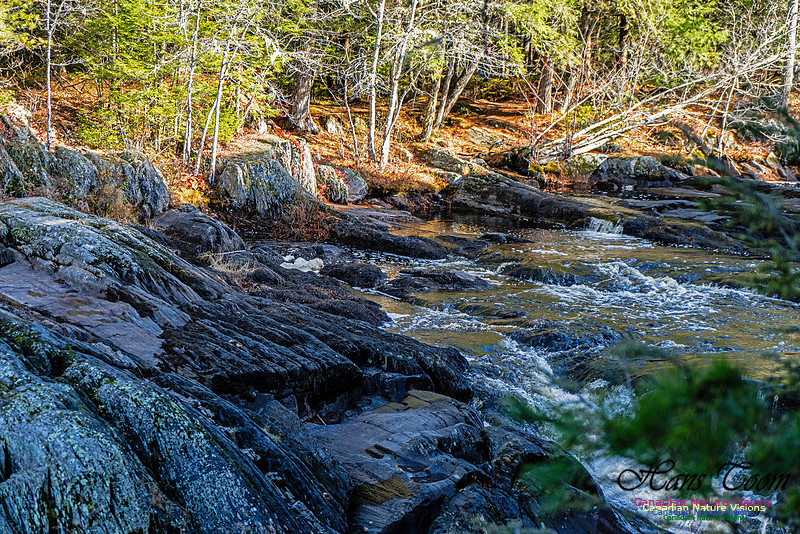 Nova Scotia Scenes 404