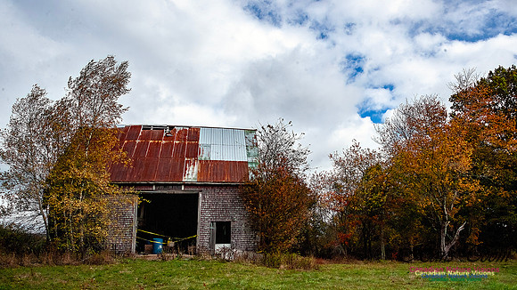 Nova Scotia Scenes 607