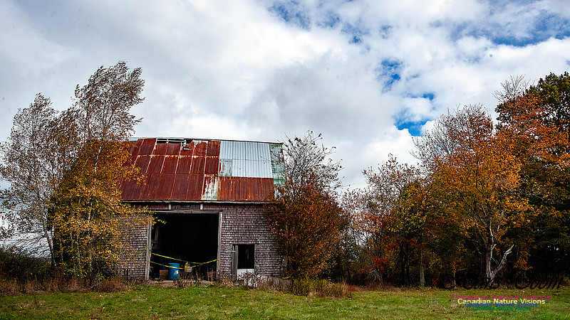 Nova Scotia Scenes 607
