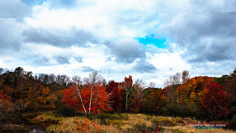 Nova Scotia Scenes 610