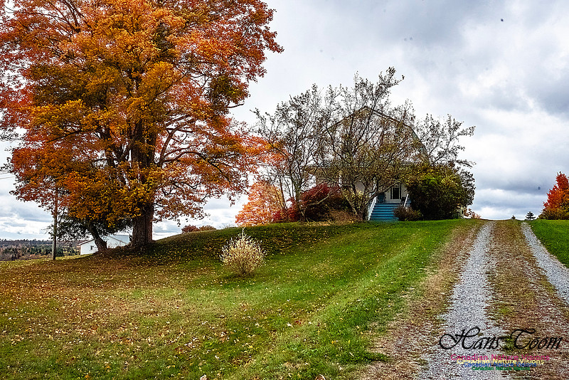 Nova Scotia Scenes 615