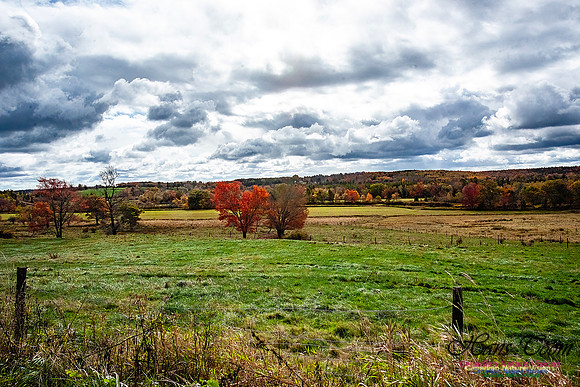 Nova Scotia Scenes 618