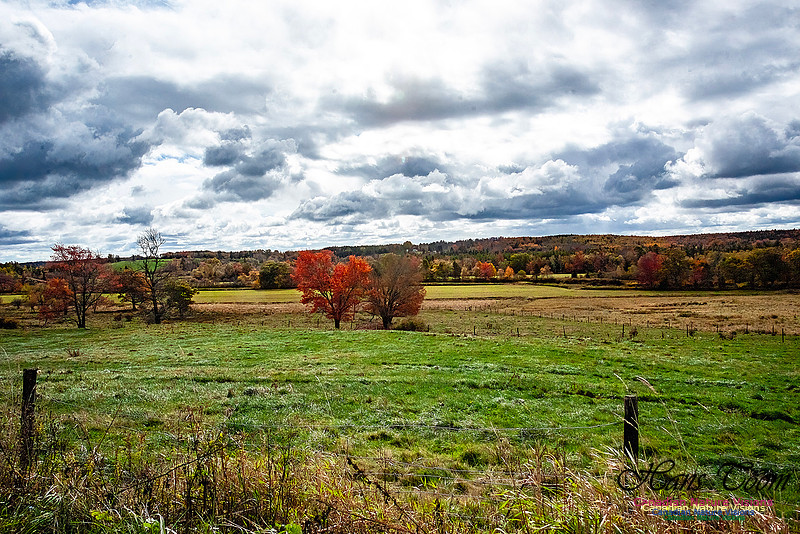 Nova Scotia Scenes 618