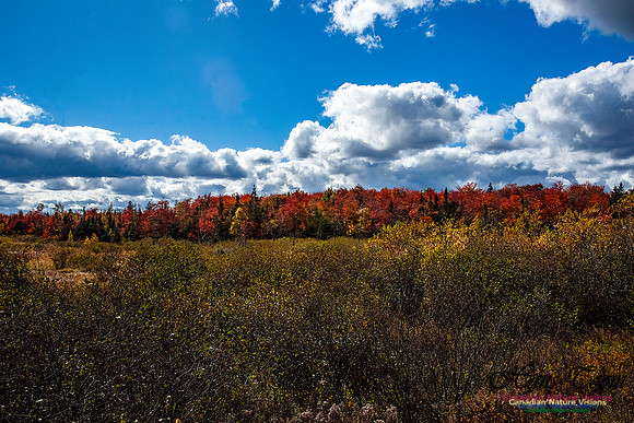 Nova Scotia Scenes 621