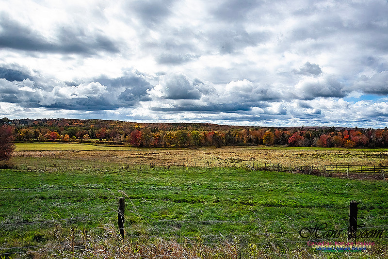 Nova Scotia Scenes 620