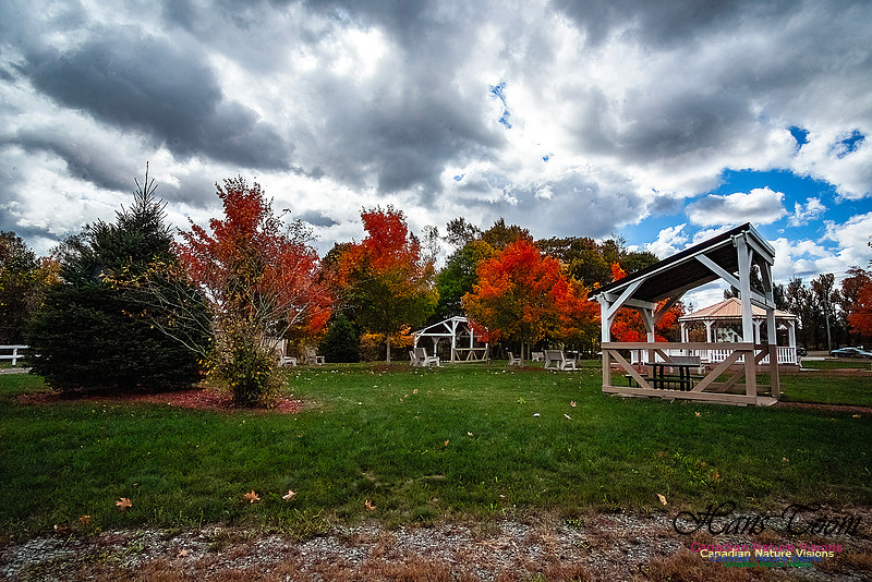 Nova Scotia Scenes 624
