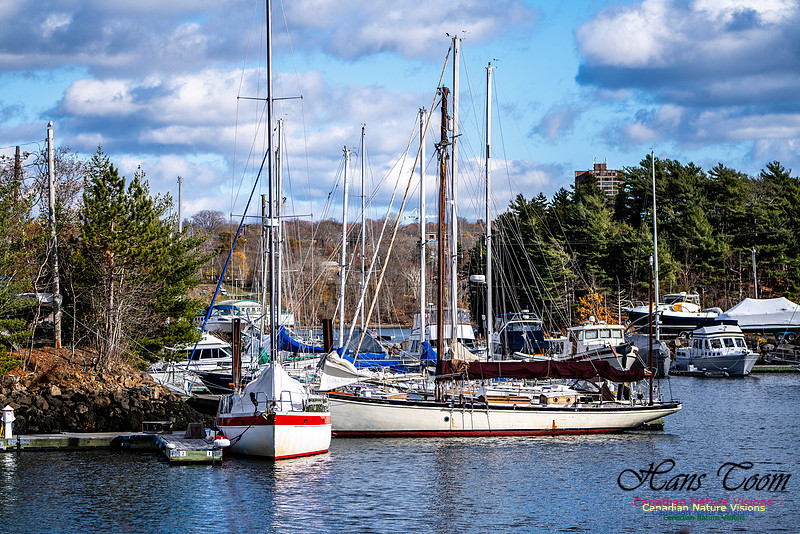 Nova Scotia Scenes 103