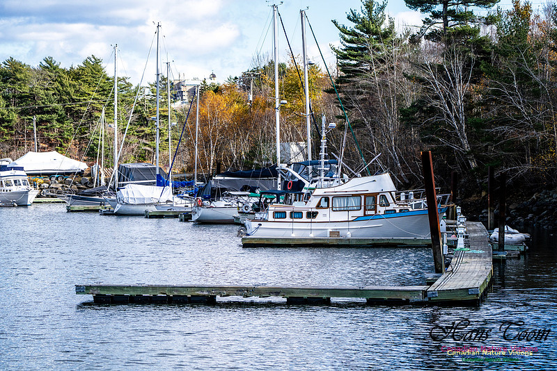 Nova Scotia Scenes 104