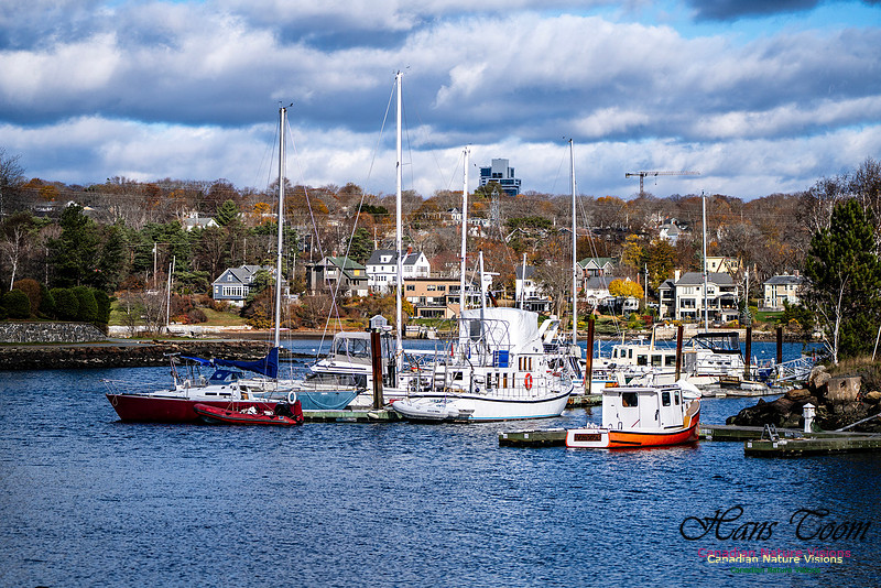 Nova Scotia Scenes 105