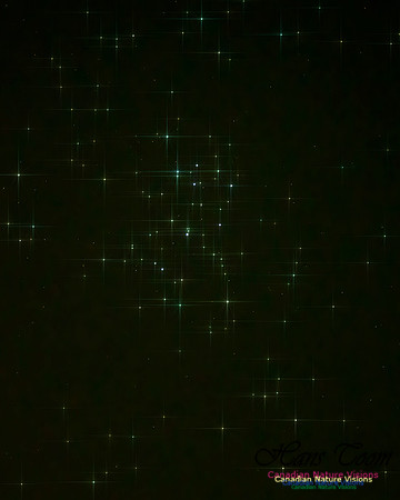 Pleiades 101